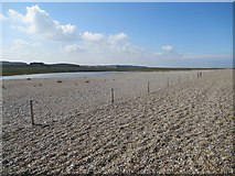TG0644 : Arnold's Marshes (nature reserve) and Shingle Beach by Les Hull