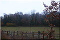 Long Deans nature reserve from Bunkers Lane