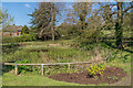 Pond, Mansion Gardens