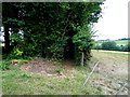 Footpath to Durnford Mill