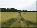 Farm track (footpath) between fields, Woodford