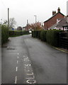 Houses and hedges, Laburnum Walk, Stonehouse