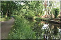 Basingstoke Canal at Brookwood