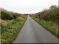 Hedge-lined minor road heading towards South Whitewell