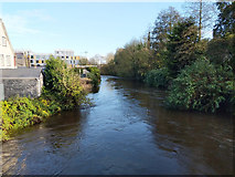 W6671 : River Lee, south channel, Cork by Robin Webster