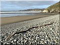SM8422 : Driftwood on pebbles by Alan Hughes