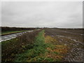 Waterlogged field and the road out of Newton