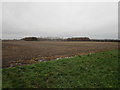 View towards Trent Hills Farm