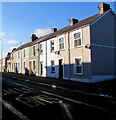 Oak Terrace houses, Carmarthen