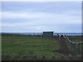 Coastal grazing near Flimby