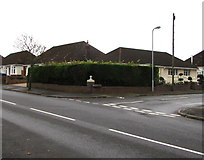 ST1580 : Long hedge on a suburban corner of Cardiff by Jaggery
