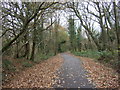 National Cycle Route 72 towards Whitehaven