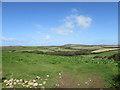 View across the valley towards Bartine Downs