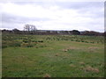 Rough grazing off Lowca Top Road