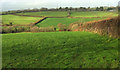 Charford Brook valley