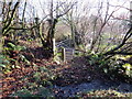 Llwybr Llwyn Martin Uchaf / Llwyn Martin Uchaf Path