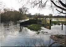 TG2105 : Flooded path on Marston Marsh by Evelyn Simak