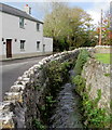 Upstream along Ogney Brook, Church Lane, Llantwit Major