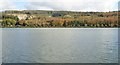 Narrow Water Quarry viewed across the Newry River