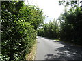 Wick Road towards Lympsham