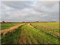 SU3694 : Farm track towards Hilltop Farm by Vieve Forward