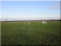 Footpath to Brant Broughton