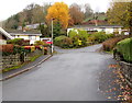 Late autumn colours, Cwrt y Camden, Brecon