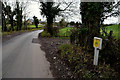 Tullyrush Road, Ranelly