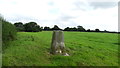 SJ3660 : Dodleston Gorse Trig point near Dodleston by Colin Park