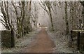 Strathkelvin Railway Path