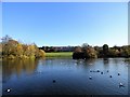 NZ2561 : View across the lake at Saltwell Park by Robert Graham