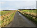 Minor road passing through grazing land near to Mains of Philorth