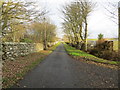 NK0062 : Minor road at Mains of Philorth Cottage by Peter Wood