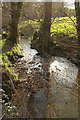 Stream near Lower Kingdon