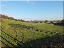 SE2225 : Fields north east of Carlinghow Lane, Batley by habiloid