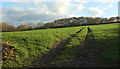 Track across field near Webbery