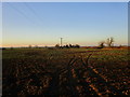 Tracks in a field