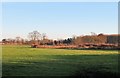 View towards Black Wood