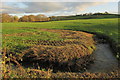 Stream near Wearland