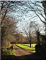 Bridleway to Leigh Barton