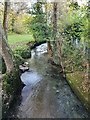 Stream, Tamerton Foliot