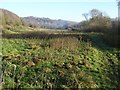 Pastureland beside the River Severn