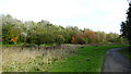 Pathway through Clayton Vale, Clayton, Manchester