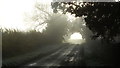 Sunlight through fog on Welford Rd southeast of The Lodge, Naseby Hall