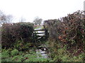 Llwybr ger Lan House /  Path near Lan House