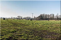 SJ5410 : Berwick New House Farm by Ian Capper