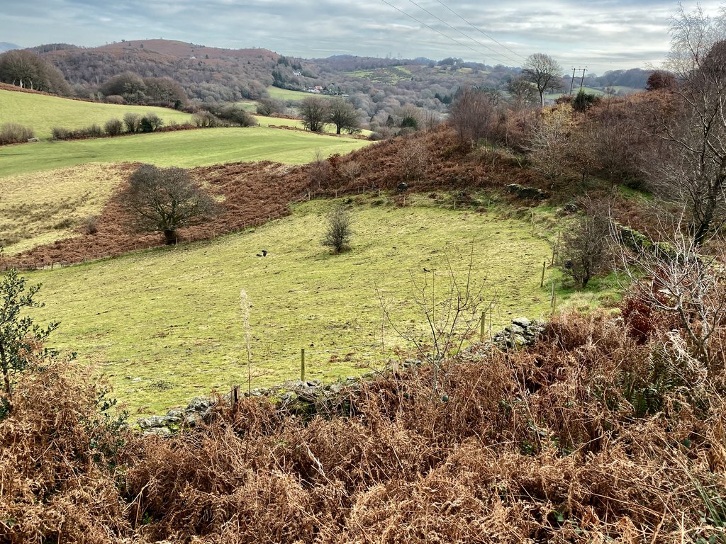 enclosed-fields-alan-hughes-geograph-britain-and-ireland