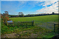 Budleigh Salterton : Grassy Field