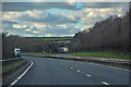 Ermington : Devon Expressway A38