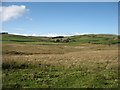 Farmland west of Caldbeck